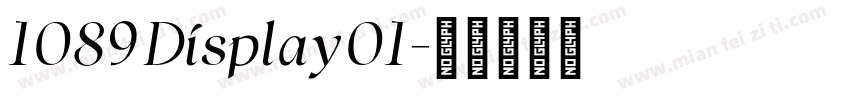 1089 Display01字体转换